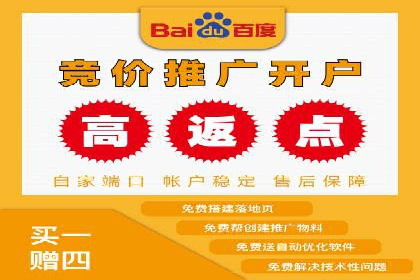 某电商企业SEM竞价代运营全记录：销量翻倍的奥秘
